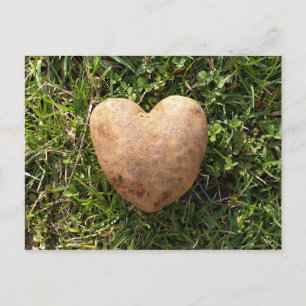 Hjärtformade potatis vykort