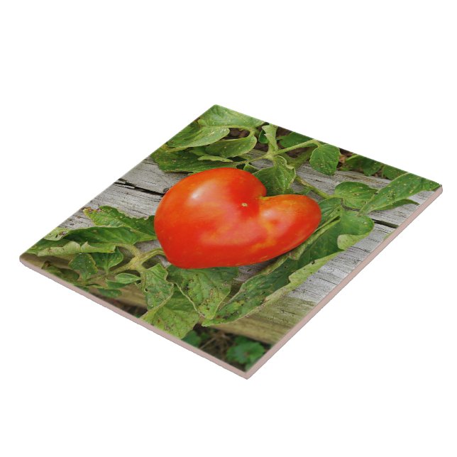 Hjärtformade Tomato Kakelplatta (Sidan)