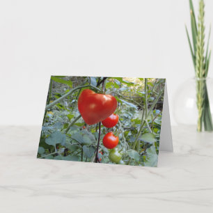 Hjärtformade Tomato-meddelande Helgkort