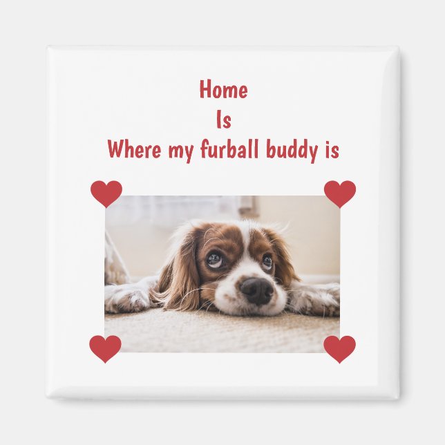 Hjärtfoto i Personligen Home Furball Buddy Hund Magnet (Framsidan)