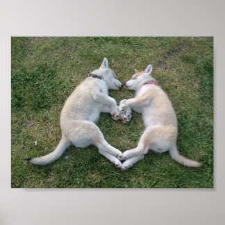 hjärthusky poster