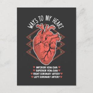 Hjärtkardiologi Echo Medical Student Kardiolog Vykort