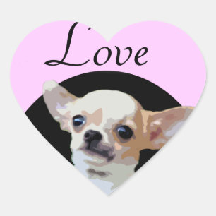 Hjärtklistermärken i Chihuahua kärlek