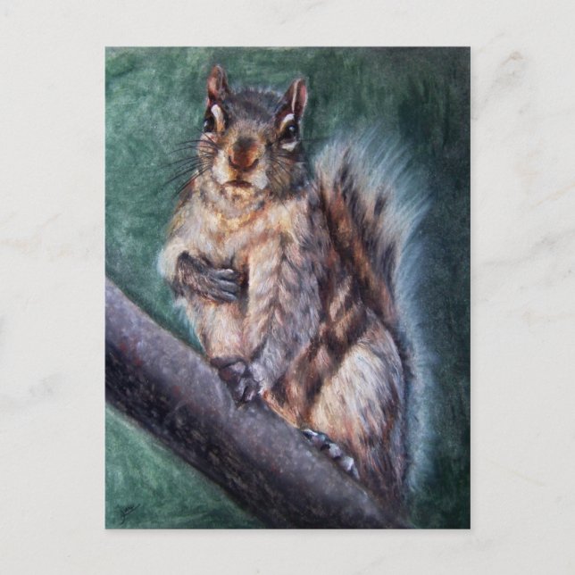 Hjärtknapp (ekorre) vykort (Framsida)