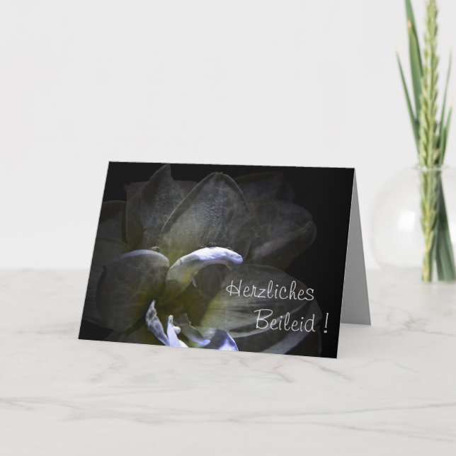Hjärtliga kondoleanser ! Amarullisblomma   ... Kort (Framsida)