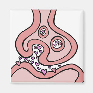 Hjärtneurotransmittorer, magnet