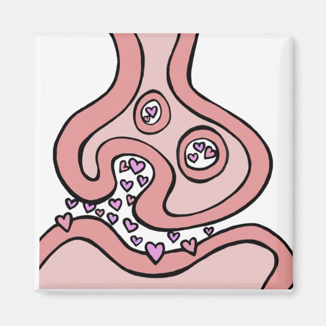 Hjärtneurotransmittorer, magnet (Framsidan)