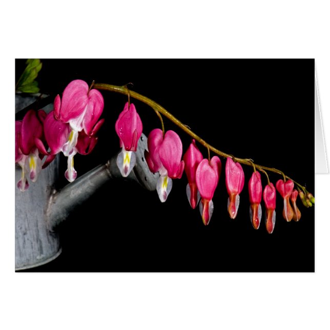 Hjärtrad Hälsningskort (Framsidan Horizontal)