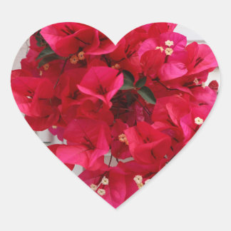 Hjärtrygg klistermärke rosa blommor