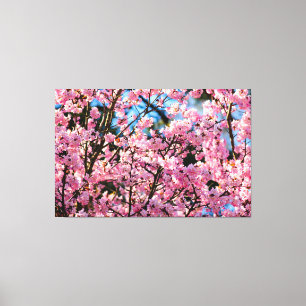 Hjärtstoppande Sakura-träd i rosa blomning på våre Canvastryck