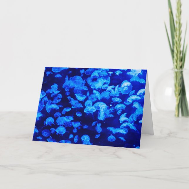 Hjellyfisk Kort (Framsida)