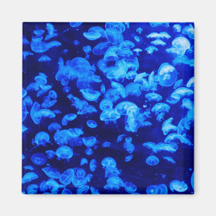Hjellyfisk Magnet