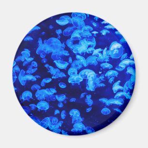 Hjellyfisk Magnet