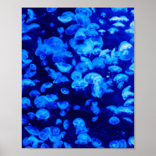 Hjellyfisk Poster