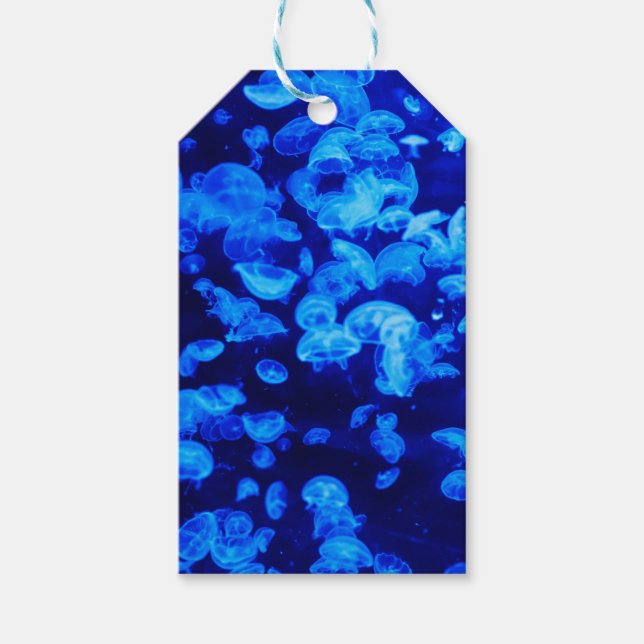 Hjellyfisk Presentetikett (Framsidan)