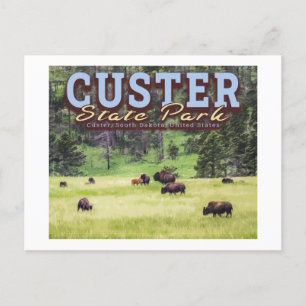 HJORD AV BISONOXAR - CUSTER STATE PARK - SOUTH DAK VYKORT