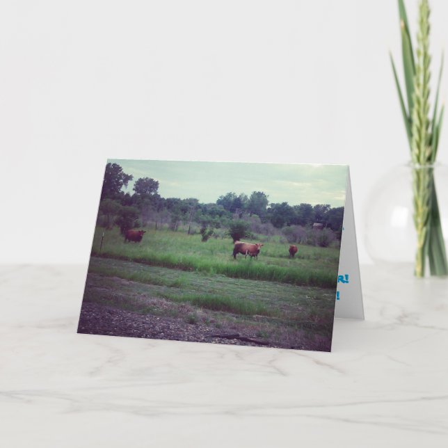 "Hjord av kor" Födelsedagskort Kort (Framsida)
