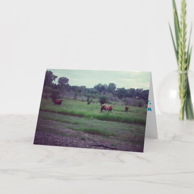 "Hjord med kor" Snabb Återhämtning Kort (Framsida)
