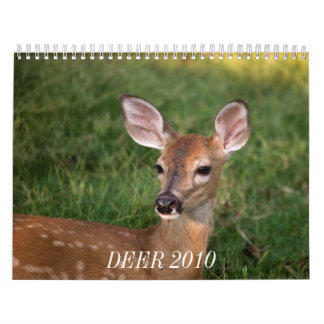 HJORT 2010 KALENDER