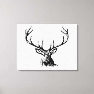 Hjort Animal Antlers Nature Wildlife Horns Head Po Canvastryck