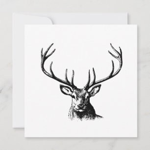 Hjort Animal Antlers Nature Wildlife Horns Head Po Inbjudningar
