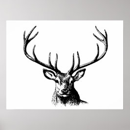 Hjort Animal Antlers Nature Wildlife Horns Head Po Poster