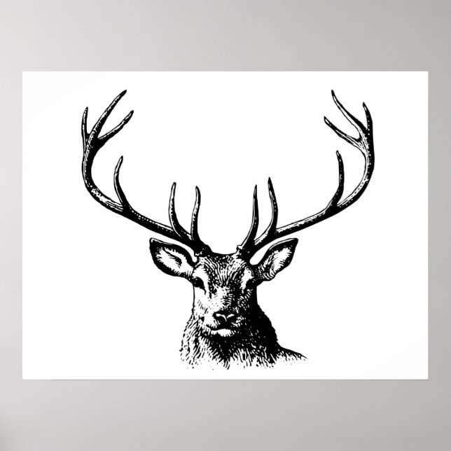 Hjort Animal Antlers Nature Wildlife Horns Head Po Poster (Framsidan)