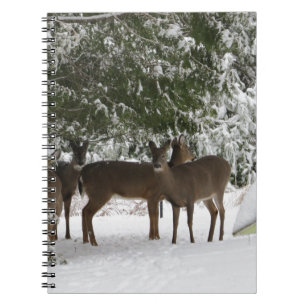 Hjort Anteckningsbok