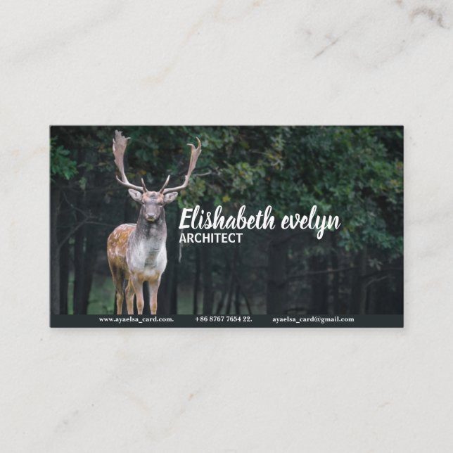 hjort av hjort i fällformat visitkort (Framsida)