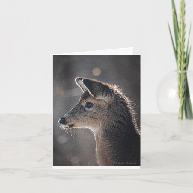 Hjort baby med fokus på Öron i centrum avsiktligt Kort (Framsida)