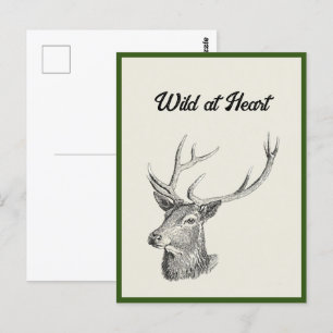 Hjort Buck Head med Antlers Black and White Art Ar Vykort