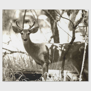 Hjort Buck Wrapping Papper Presentpapper