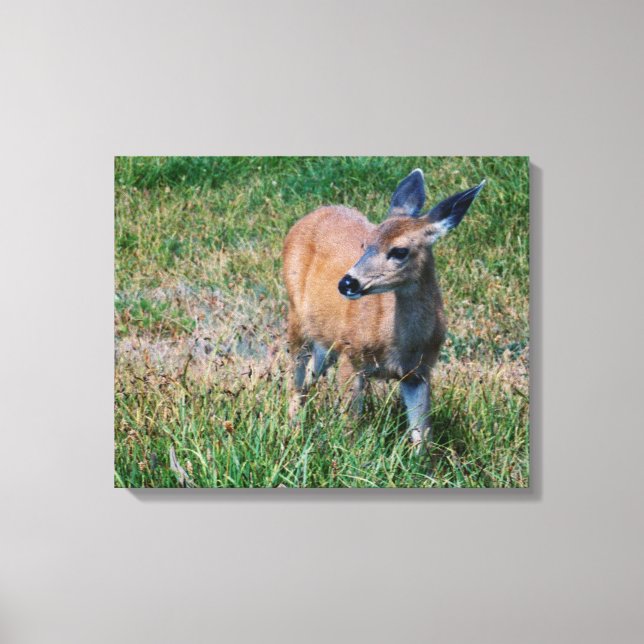 HJORT - CANVASTRYCK (Framsida)