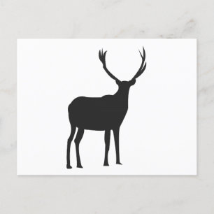 Hjort Cute Antlers Vykort