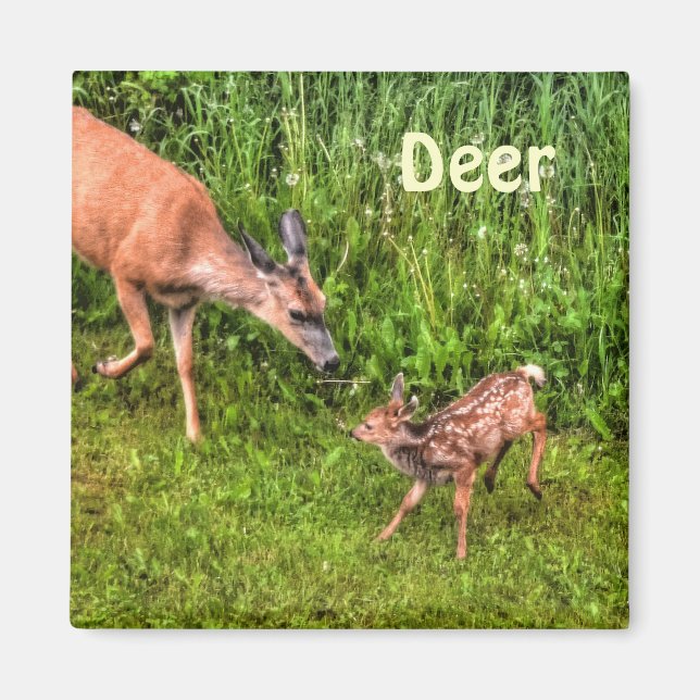 Hjort Doe & Fawn Wildlife Animal Design Magnet (Framsidan)