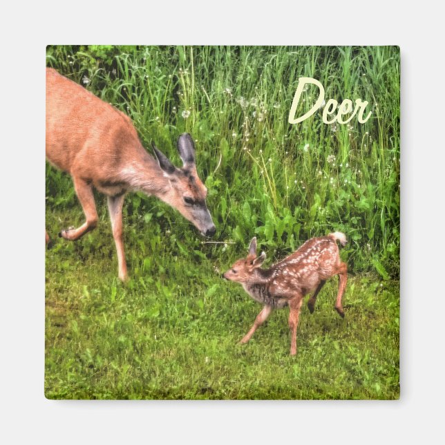 Hjort Doe & Fawn Wildlife Animal Design Magnet (Framsidan)