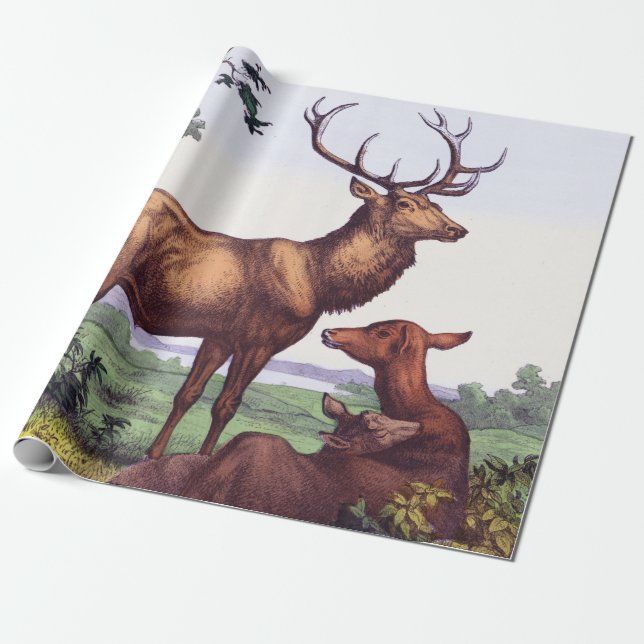 Hjort Family Vintage Birthday Presentpapper (Utrullad)