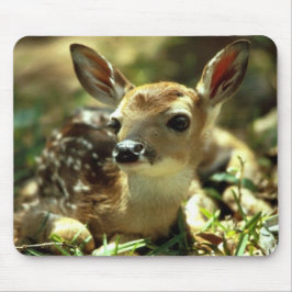 Hjort Fawn Musmatta