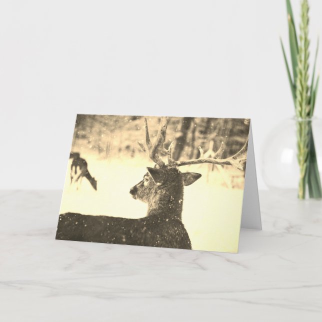 Hjort för mappat anteckningskort i SNÖ-ANPASSADET (Framsida)