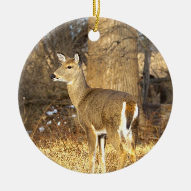 Hjort Foto Ornament  (Framsidan)