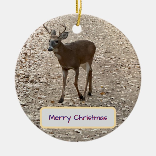 Hjort Foto Ornament (Framsidan)