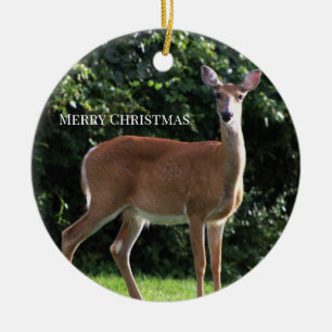 Hjort Foto Ornament