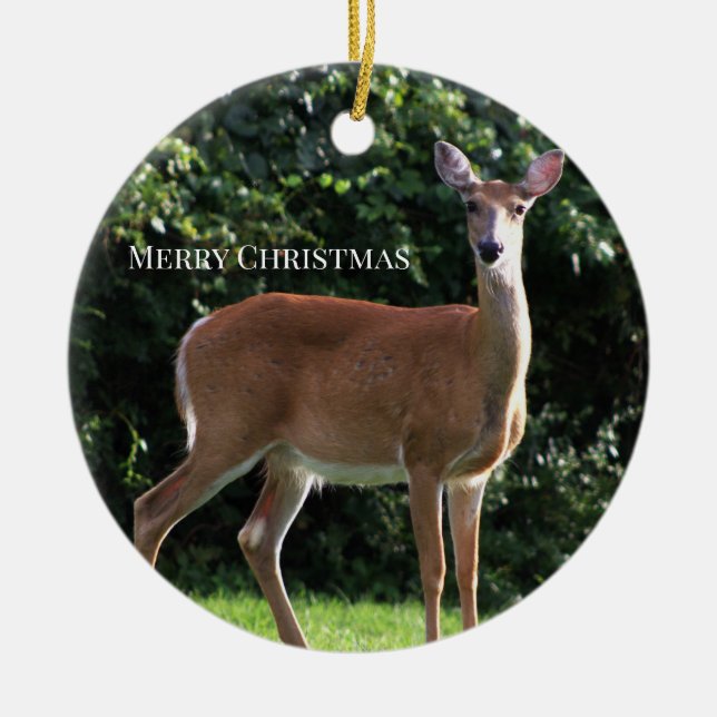 Hjort Foto Ornament (Framsidan)