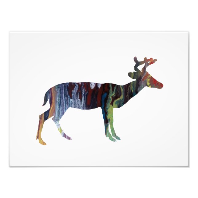 Hjort Fototryck (Framsidan)