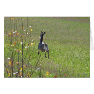 Hjort Hälsningskort