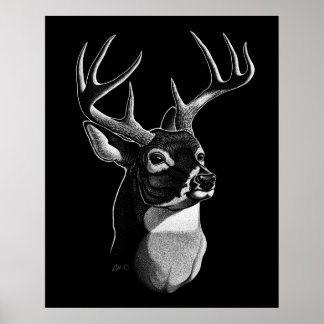 Hjort Head Scratchboard-stil Poster