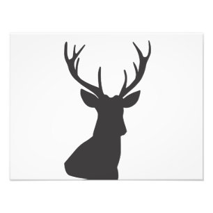 Hjort Hjort Silhouette Silhouette Animal Vild Post Fototryck