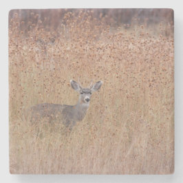 Hjort i ängen stenunderlägg