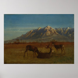 Hjort i bergshem av Albert Bierstadt Poster