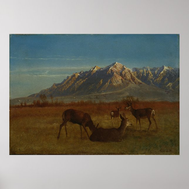 Hjort i bergshem av Albert Bierstadt Poster (Framsidan)